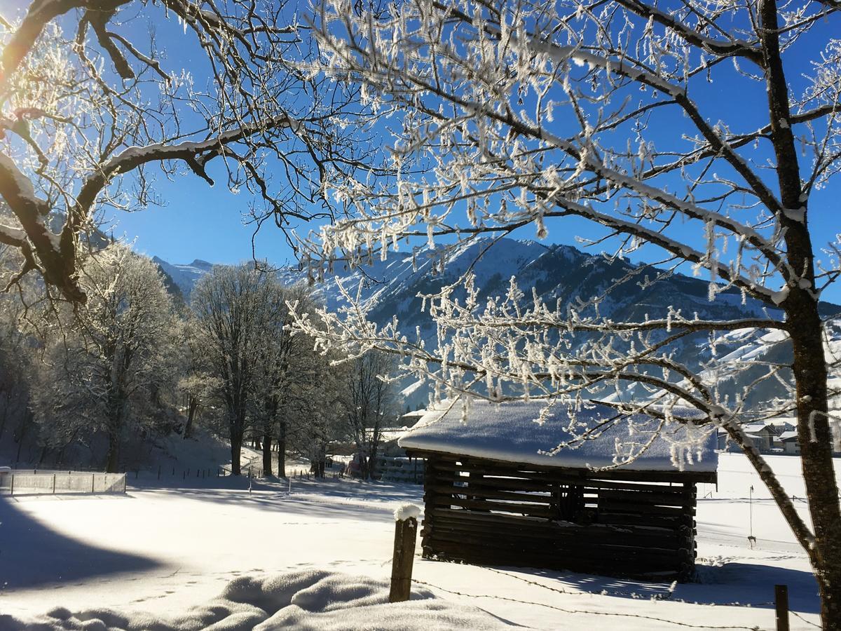 Johannahof Appartements Kaprun Exterior foto